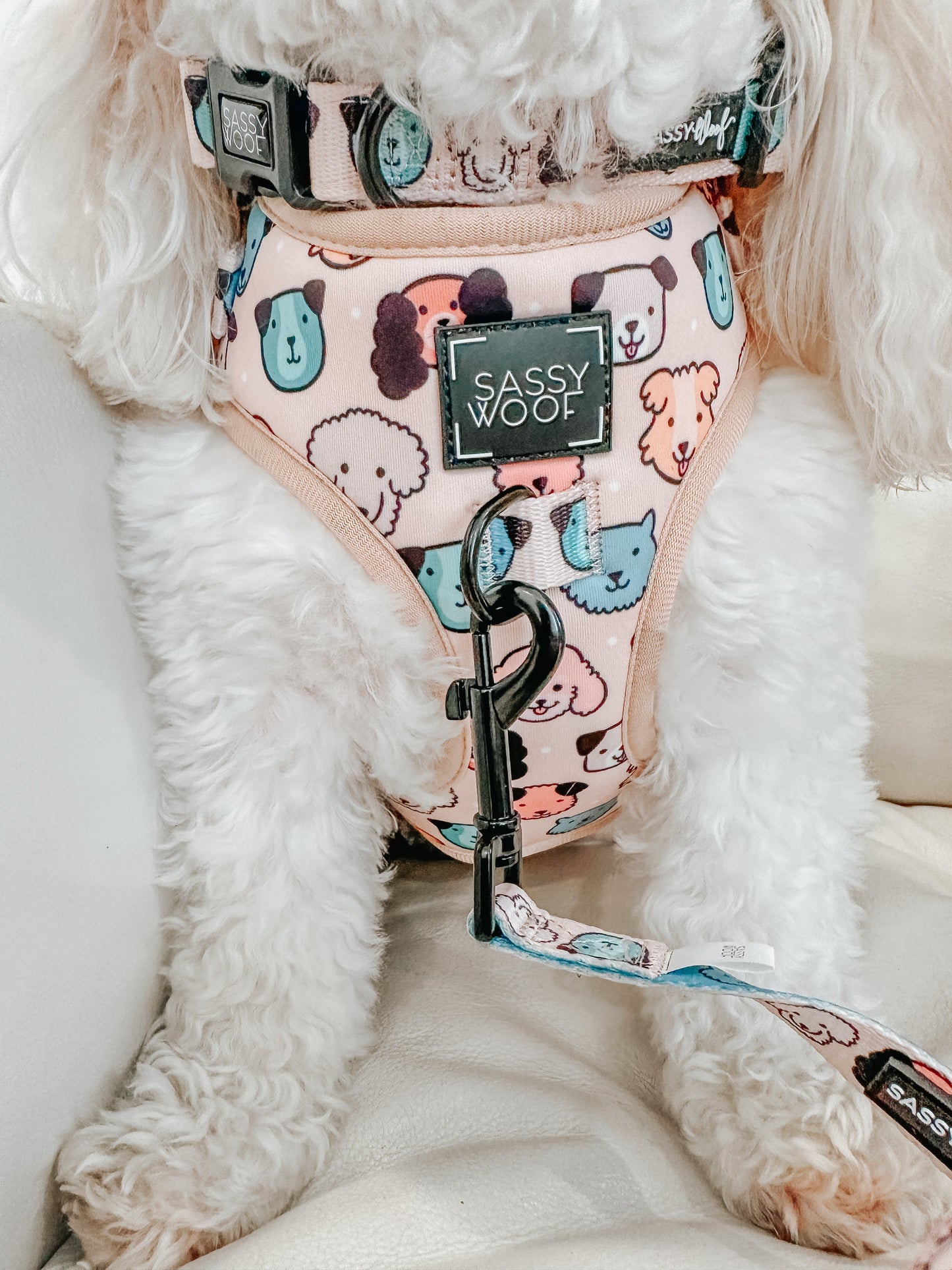 Dog Collar - Mixed With Love