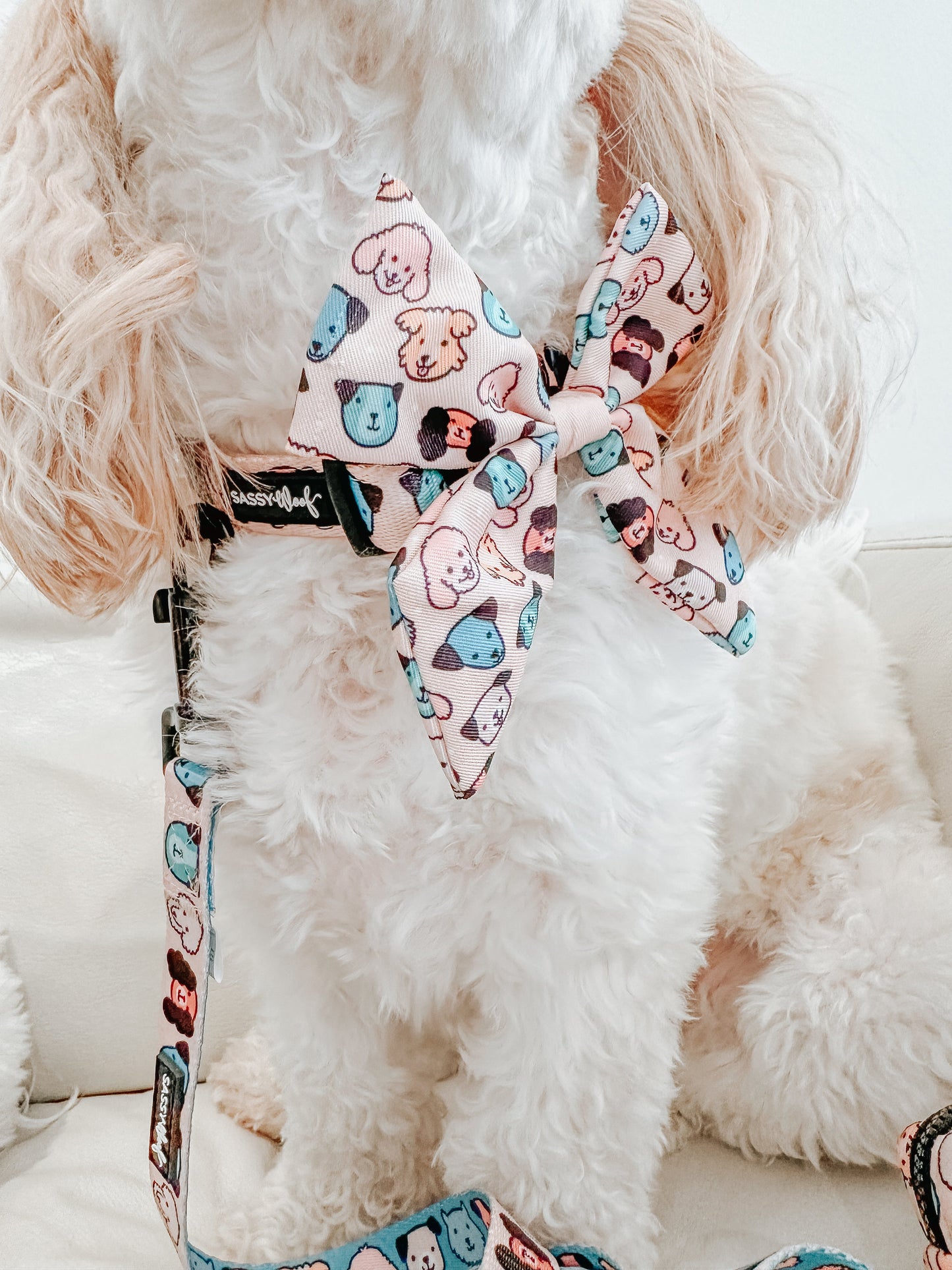 Dog Collar - Mixed With Love