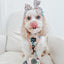 Dog Leash - Mixed With Love