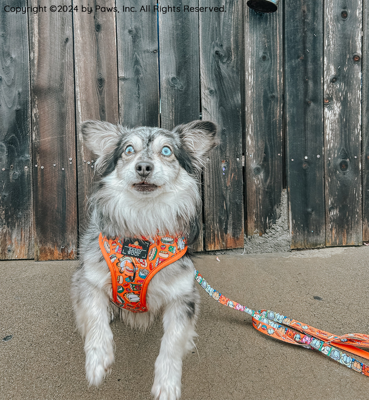 Dog Leash - Garfield™
