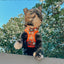 Cat Step-In Harness - Garfield™️