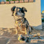 Dog Step-In Harness - Sunflower Dreams