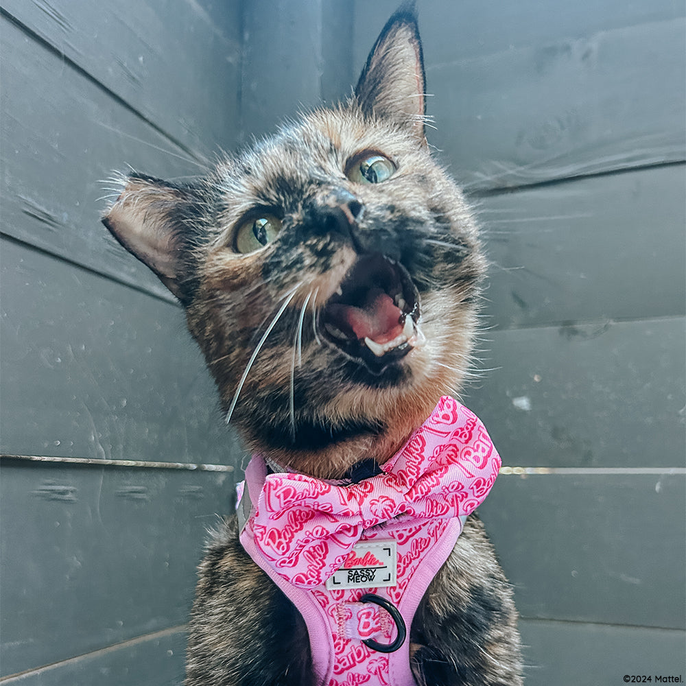 Cat Step-In Harness - BARBIE™ Malibu