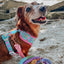 Dog Rope Leash - Polly Pocket™
