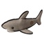 Saul the Shark