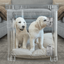 Medium Crate (Silver Latch)