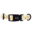 Dog Collar - Simply the Zest