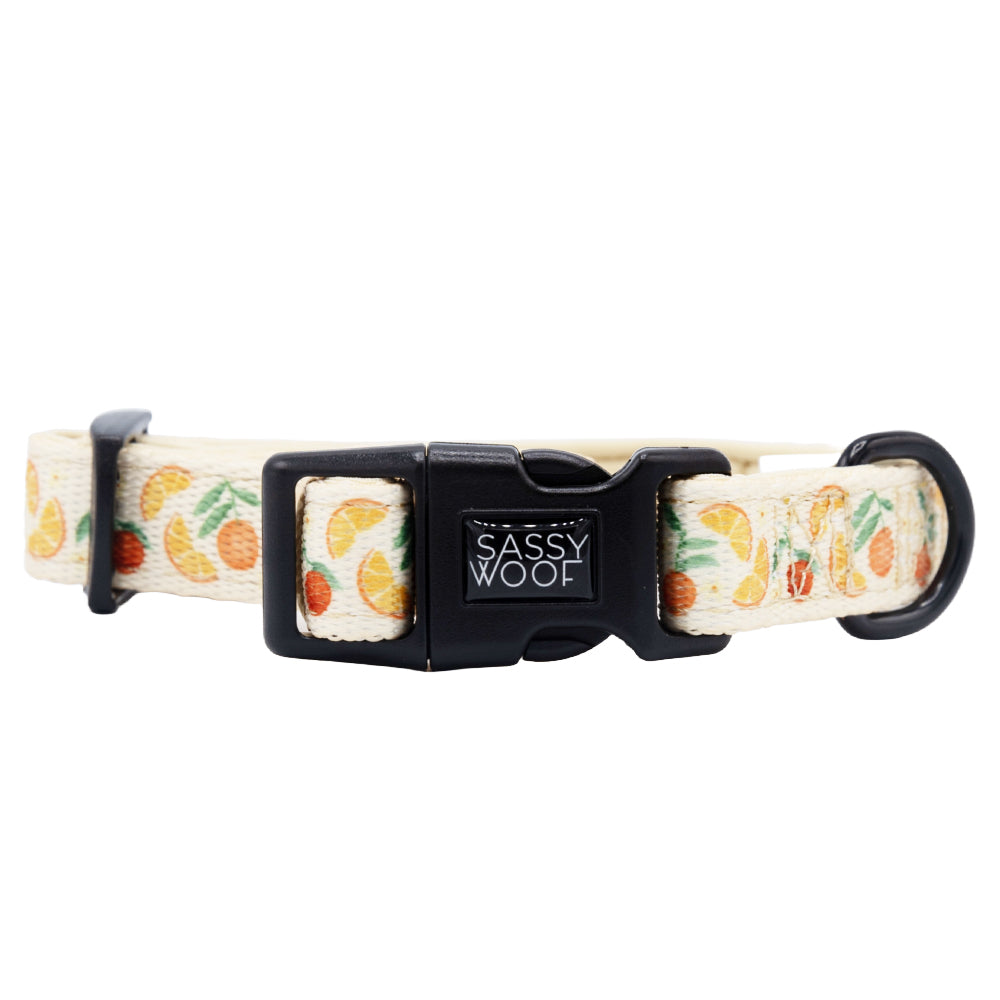 Dog Collar - Simply the Zest
