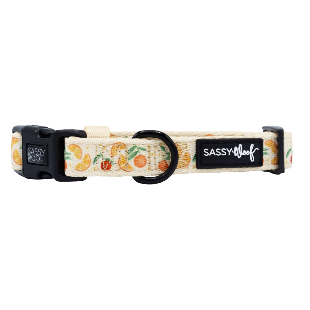 Dog Collar - Simply the Zest