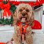 Dog Adjustable Harness - Disney Holiday Collection