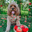 Dog Adjustable Harness - Apple of My Eye