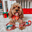 Dog Leash - Disney Holiday Collection