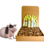 4-HAIRLESS PETS *SKINNYPIG REGULAR KIT