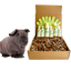 4-HAIRLESS PETS *SKINNYPIG SENSITIVE KIT