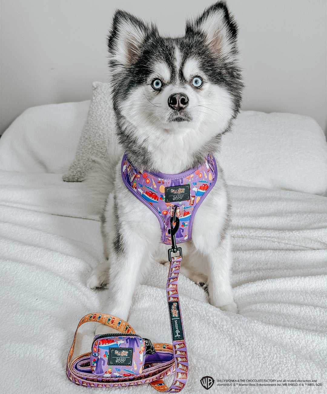Dog Adjustable Harness - Willy Wonka & The Chocolate Factory™