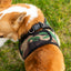Mr. Peanut's PupTrek Soft Mesh Pet Harness with Matching Leash – Adjustable, Breathable, Choke-Free