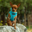 Mr. Peanut's PupTrek Soft Mesh Pet Harness with Matching Leash – Adjustable, Breathable, Choke-Free