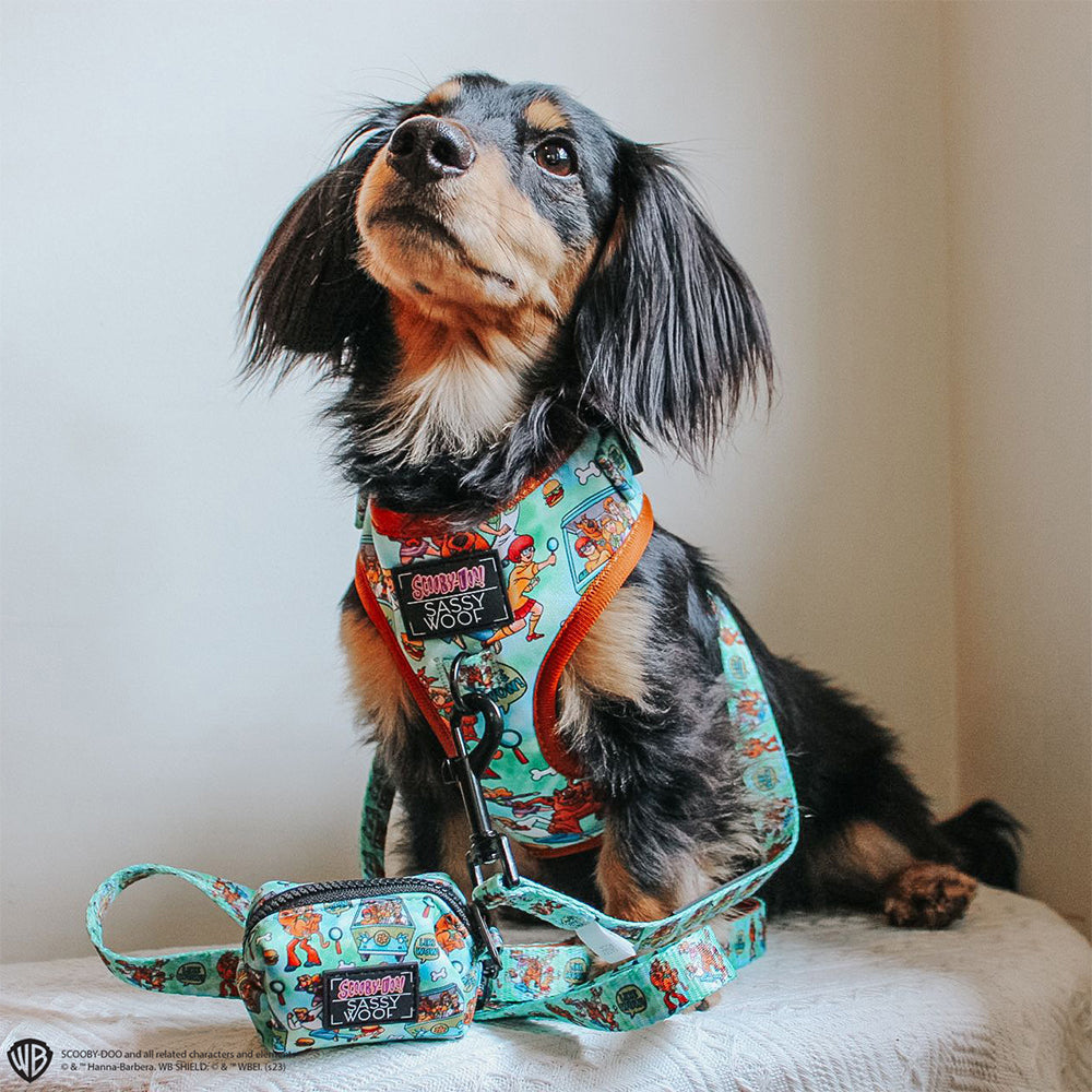 Dog Leash - Scooby-Doo™