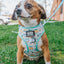Dog Adjustable Harness - STAR WARS™ The Child™
