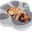 Paw Shaped Pet Bed