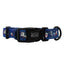 Dog Collar - Spellbound