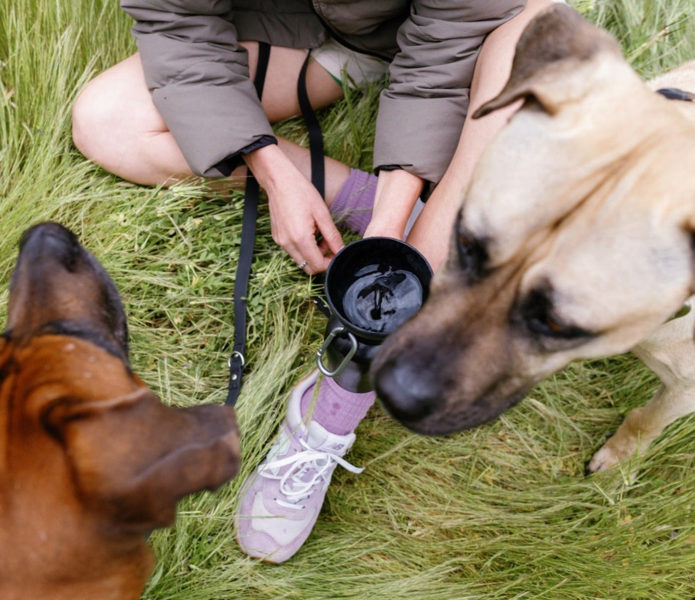 20oz Flip Travel Dog Water Bottle