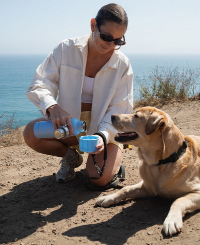 24oz Dog & Me Insulated Travel Dog Water Bottle