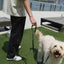 Original City Dog Leash - 3.25ft