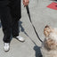 Original City Dog Leash - 3.25ft