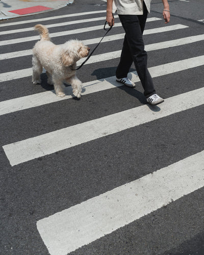 Original City Dog Leash - 3.25ft