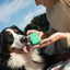 Silicone Dog Treat Dispenser