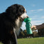 20oz Flip Travel Dog Water Bottle