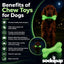 PUP-X Rubber Glow in the Dark Chew Bone Dog Toy - Durable, Floats, Chew Toy for Large Dogs | USA