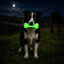 PUP-X Rubber Glow in the Dark Chew Bone Dog Toy - Durable, Floats, Chew Toy for Large Dogs | USA
