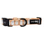 Dog Collar - Squad Ghouls