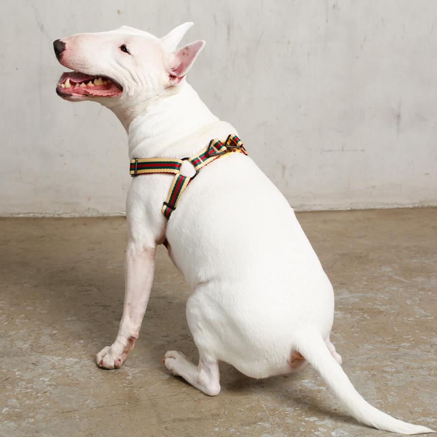 Le Classic Dog Harness