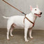 Le Classic Dog Harness