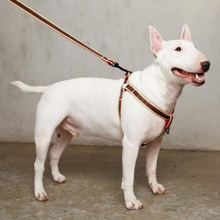 Le Classic Dog Harness