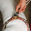 Le Classic Dog Harness