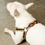 Le Classic Dog Harness