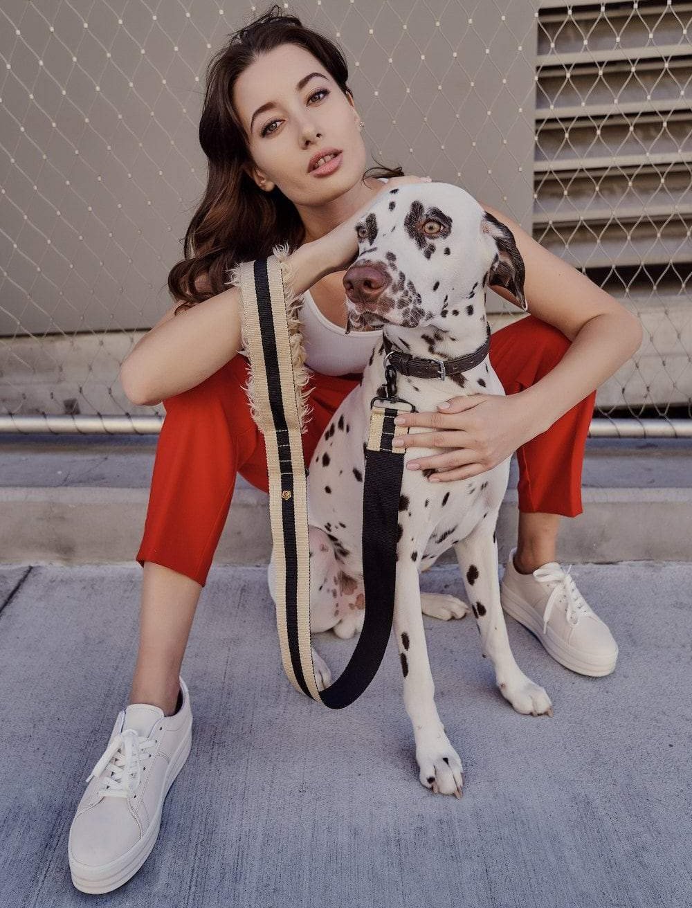The City Dog Leash Fur