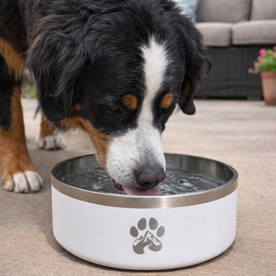 Stainless Steel Feeder Bowl