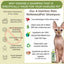 4-HAIRLESS PETS RESTORATIVE WATERLESS SHAMPOO