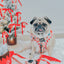Dog Adjustable Harness - Hot Cocoa Club