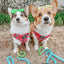 Dog Adjustable Harness - The Powerpuff Girls™ (Love)