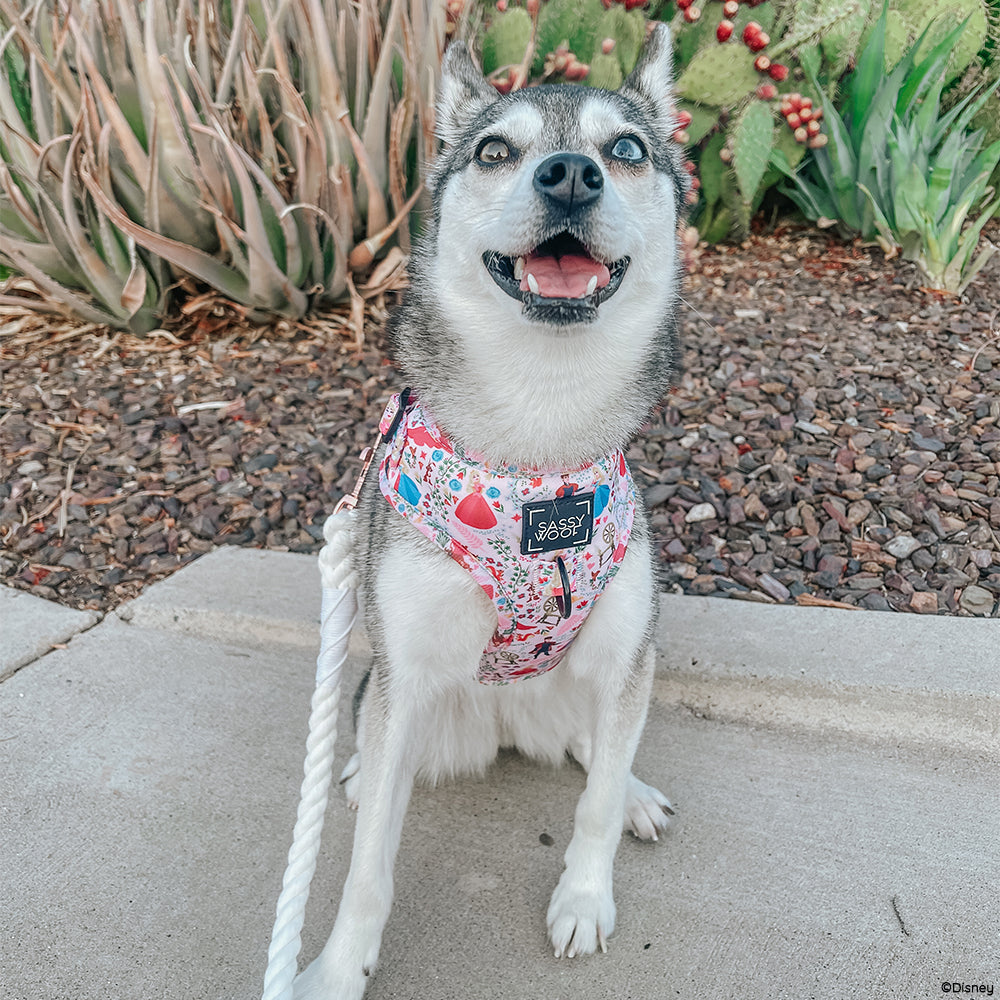 Dog Adjustable Harness - Disney's Aurora