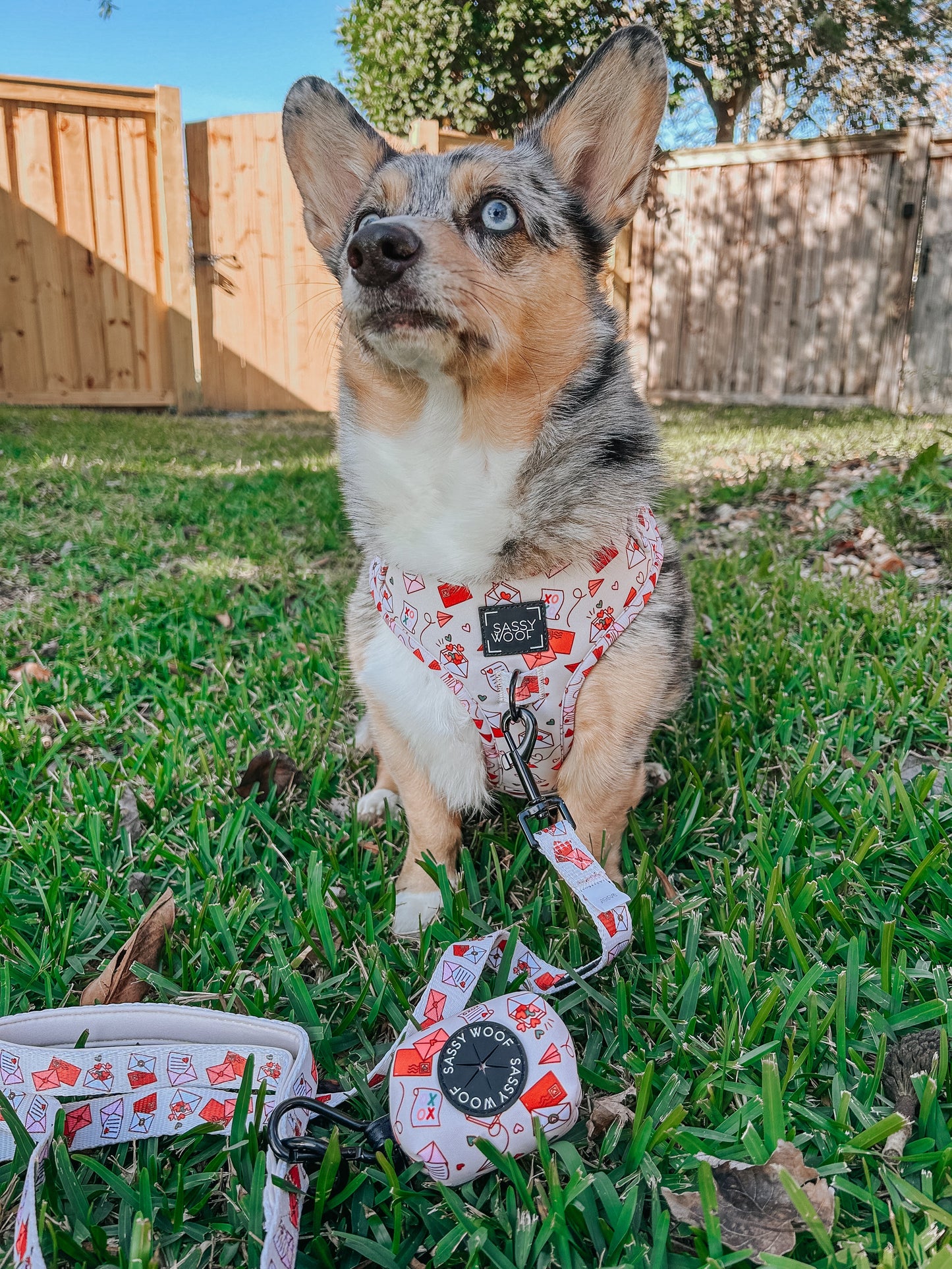 Dog Adjustable Harness - P.S. I Woof You