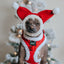 Dog Adjustable Harness - Naughty