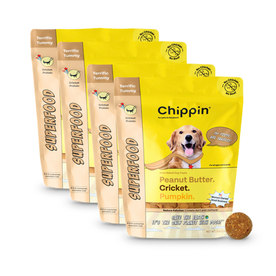 Superfood Cricket & Pumpkin Dog Treats, 4-Pack
