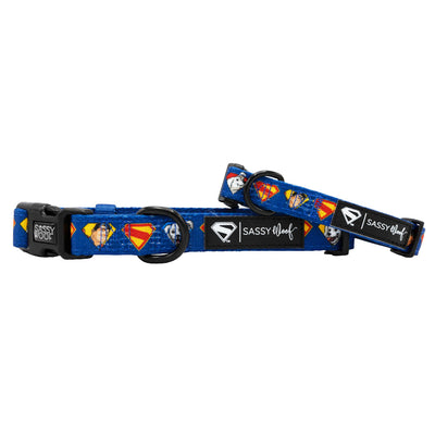 Dog Collar - Superman™ & Krypto™